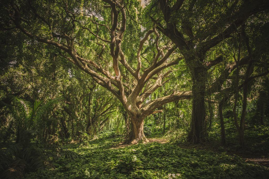 environmentally friendly green pension